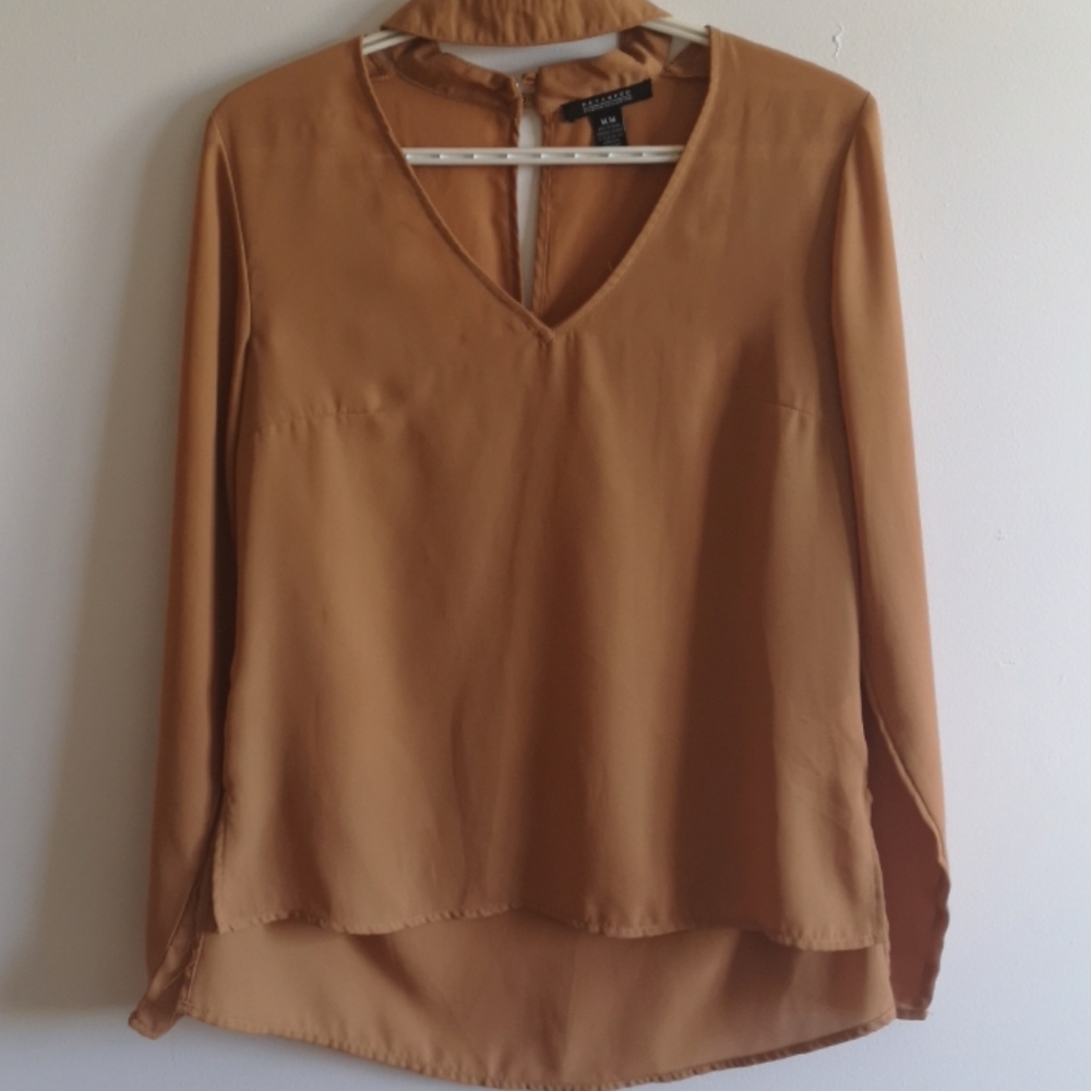 Sheer Blouse
